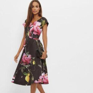Ted Baker London Pink and Black Citrus Bloom Midi Dress